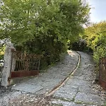 El Rondillo *